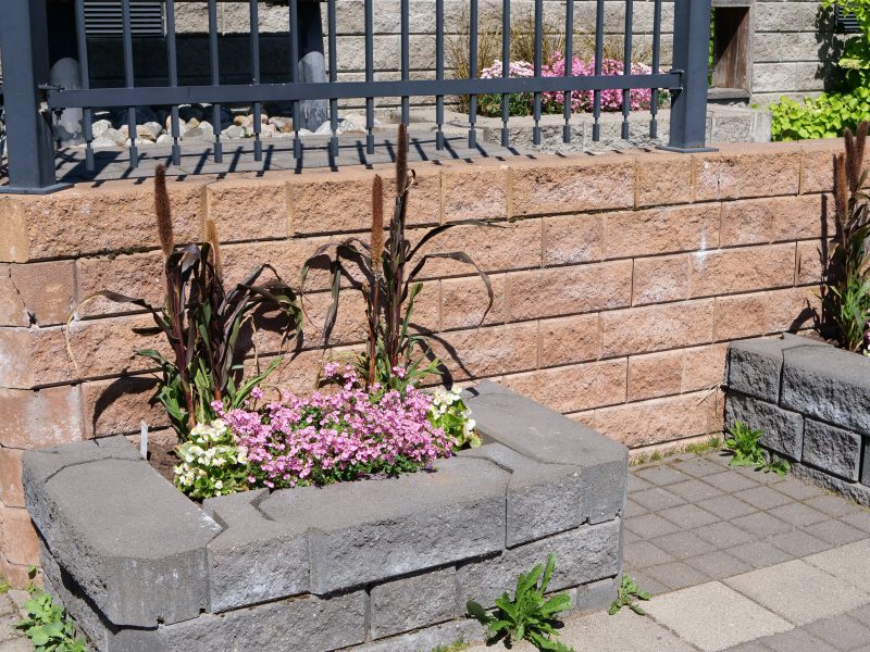 Betoniharkoista tehty kukkapenkkejä, joissa vaaleanpunaisia ja valkoisia kukkia.